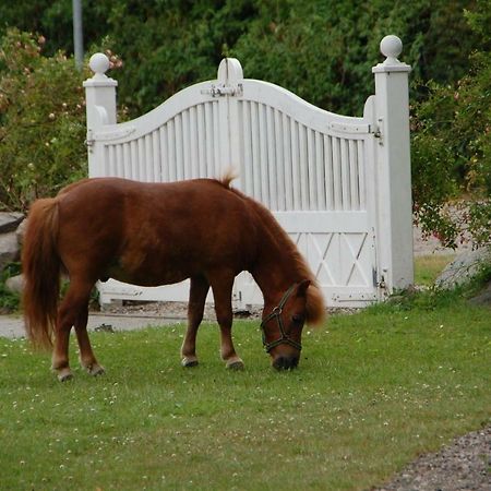 Ostseepferdehof Neukirchen  ภายนอก รูปภาพ