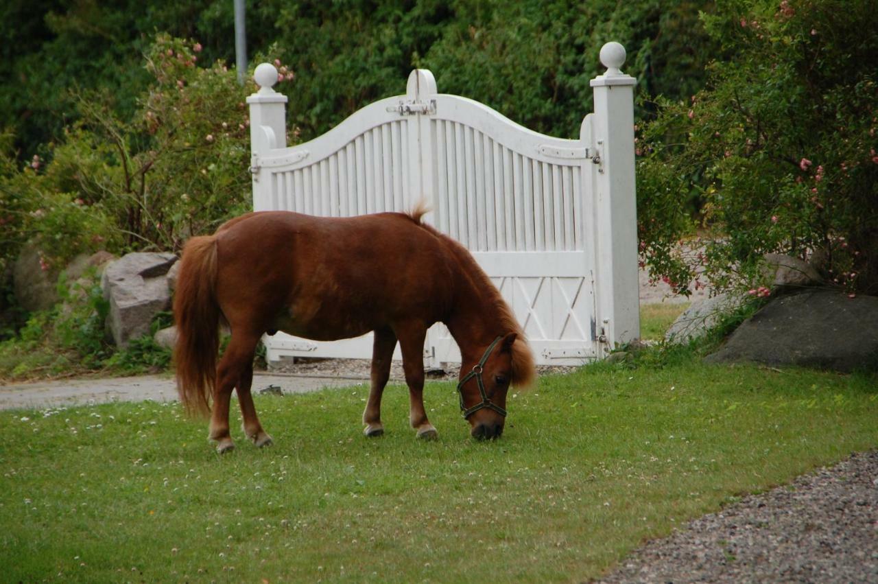 Ostseepferdehof Neukirchen  ภายนอก รูปภาพ